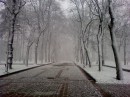 Сергій Мацьонький фотография #47 (источник - https://vk.com/id129503409)