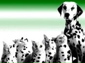 Маруся Дацків фотография #1