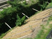 Александр Киреев фотография #37 (источник - https://vk.com/id4121643)