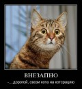 Фотография Ивановны Елены