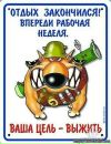 Рома Зінчук фотография #23 (источник - https://vk.com/id95571012)