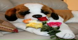 Фотография Петкау Марины