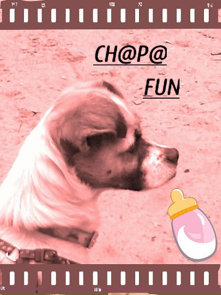 ~ch@p@~ Fun фото №4