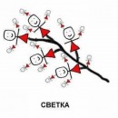 Фотография Кузьминой Светланы