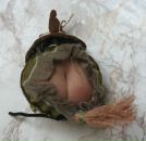 Фотография Заиченко Натальи