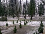 özcan Doğan фотография #22 (источник - https://vk.com/id86152813)