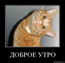 Фотография Гудковой Жанны