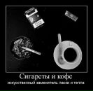 Фотография Voronoy Michael