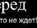 фотография #5