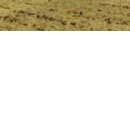 Вікуся Родіна фотография #32 (источник - https://vk.com/id78531355)