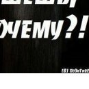 Світлана Курей фотография #34 (источник - https://vk.com/id70915138)