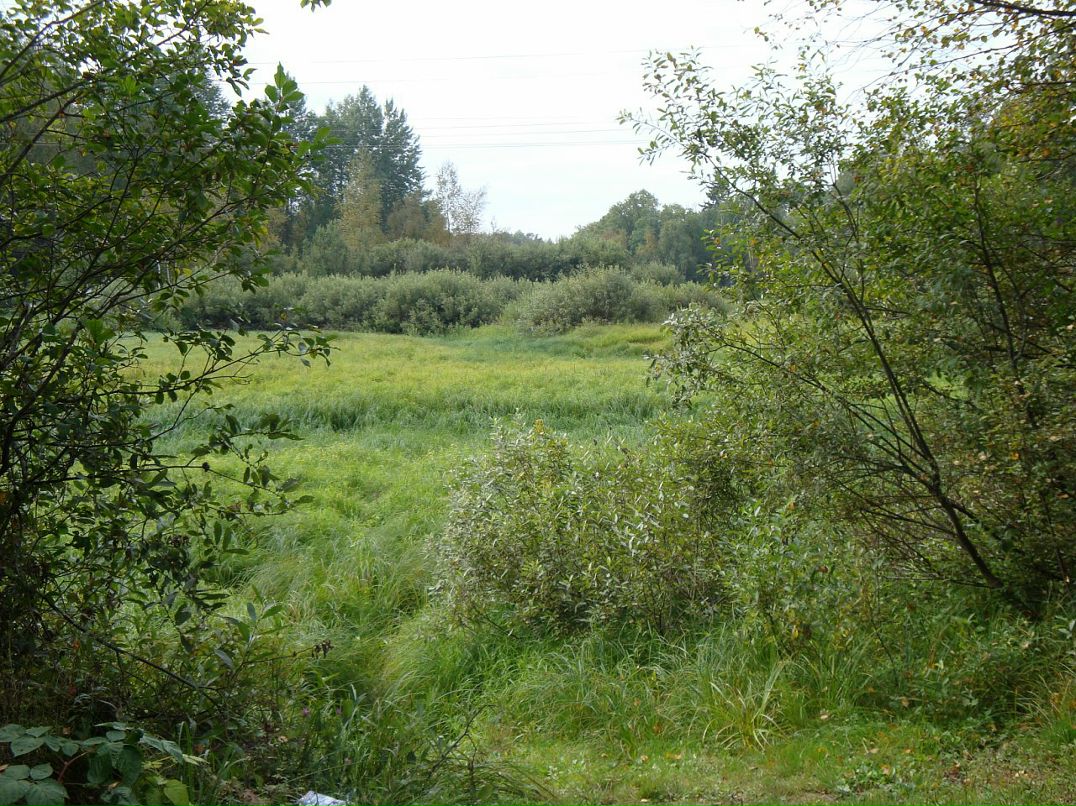 Эмма Кубло фотография #42