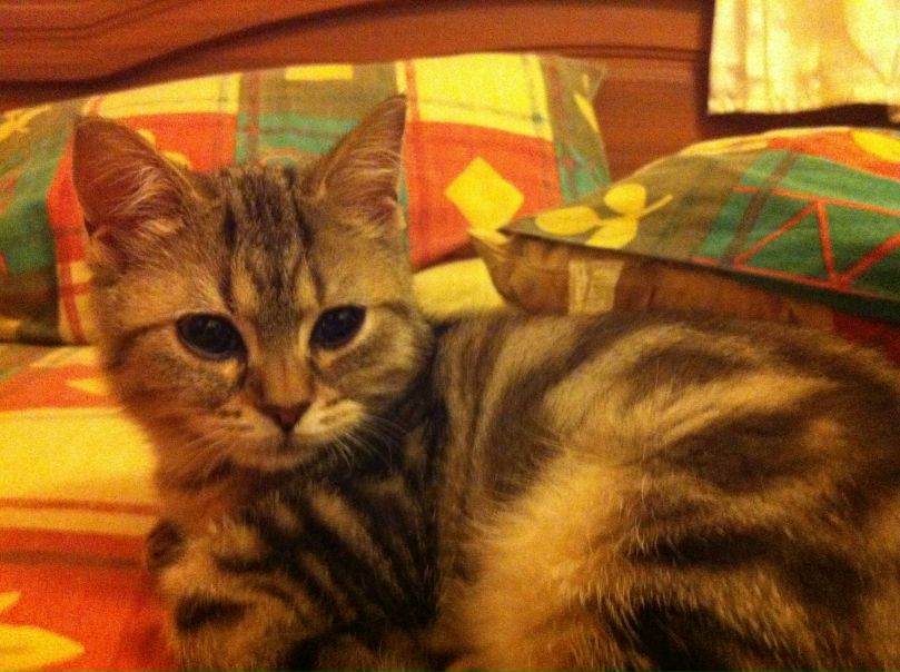 Мари Эн фото №11