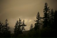 Nick N фотография #12 (источник - https://vk.com/id16209708)