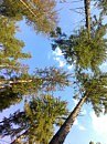 Діма Бедик фотография #5 (источник - https://vk.com/id66906007)
