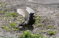 Фотография Тусупбековой Юлии