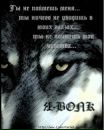 Дмитрий Блохин фотография #19 (источник - https://vk.com/id6330072)