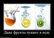 Фотография Чепрасова Вадима