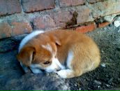 Фотография Петрова Валеры