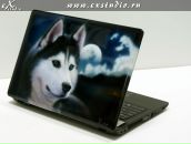 Славік Сохацький фотография #38 (источник - https://vk.com/id37666668)