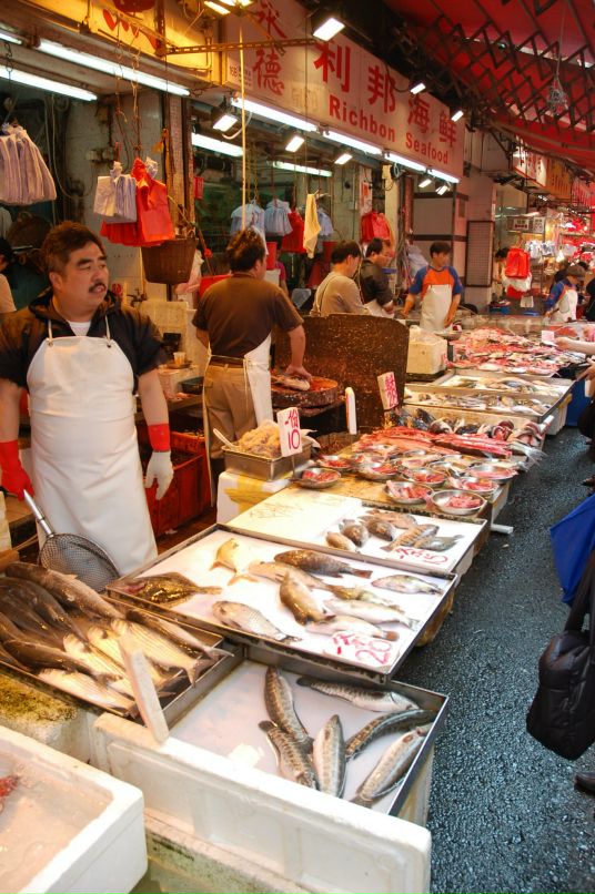 Антон Постников фотография #16