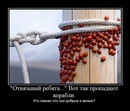 Olga Olla фотография #5 (источник - https://vk.com/id138036530)