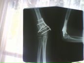 Фотография Уварова Ивана