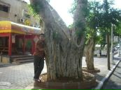 Ctambul Alanya фотография #18 (источник - https://vk.com/id105012551)