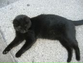 Фотография Парфирьевой Анастасии