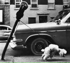 Фотография Павловой Марии