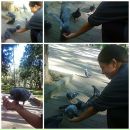 Фотография Виноградовой Анастасии