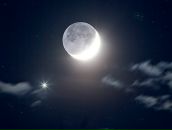 Фотография Zavolokina Zolotaya Irina