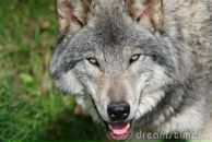 Фотография Ринева Шиляевой Натальи