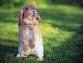 Фотография Плюшевой Юльки