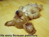 Фотография Башиловой Натальи