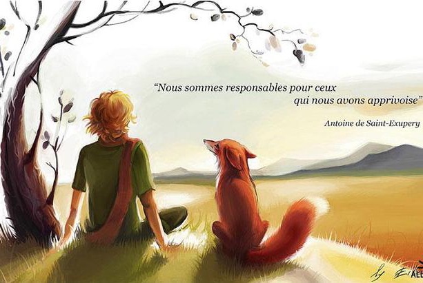 Сергей Богмут фотография #32