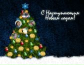 Алла Білоус (Хміль) фотография #15 (источник - https://vk.com/id62048389)