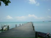 Фотография Girl Red