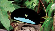 Фотография Флейштор Натальи