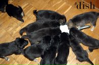 Наталія Діденко фотография #15 (источник - https://vk.com/id3846566)