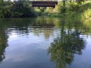 Тарас Паньківський фотография #1