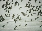 Фотография Зезюкина Андрея