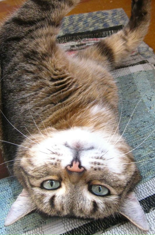 Айрат Галеев фотография #8