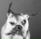 Фотография Зайкова Алексея