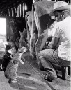 Сергій Прокопишин фотография #44 (источник - https://vk.com/id66292079)