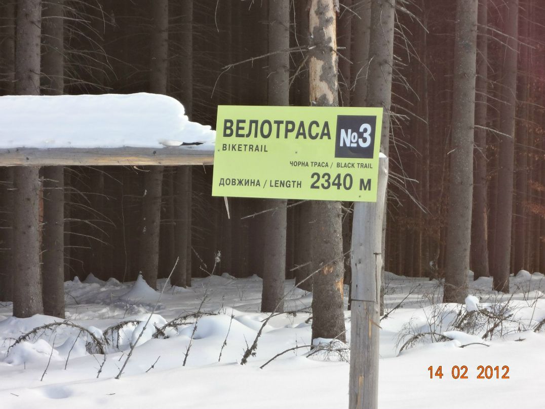 Дмитрий Мамаев фотография #32