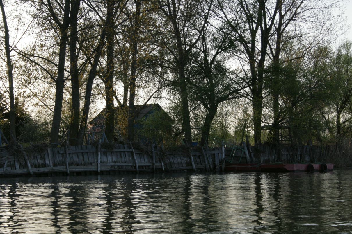 Борис Елисеев фотография #14