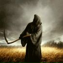 Фотография Дюмакова Александра