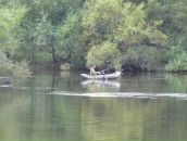 Дмитрий Лещинский фотография #2 (источник - https://vk.com/id784560)