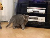 Татьяна Михалева фотография #43 (источник - https://vk.com/id997516)